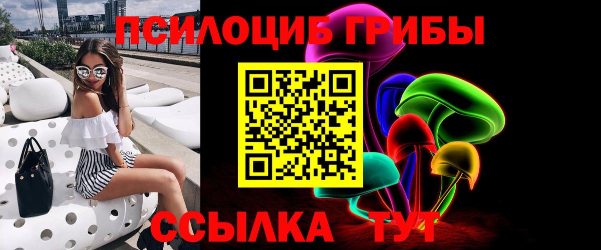 Псилоцибиновые грибы Psilocybe Гагарин