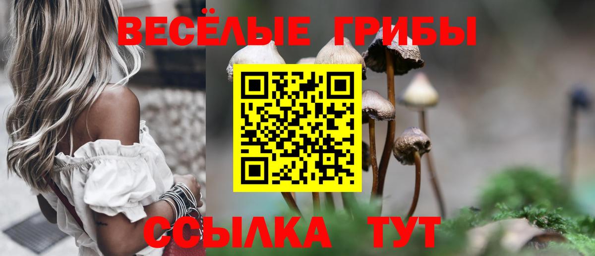 Галлюциногенные грибы MAGIC MUSHROOMS  Вход с VPN  Гагарин 