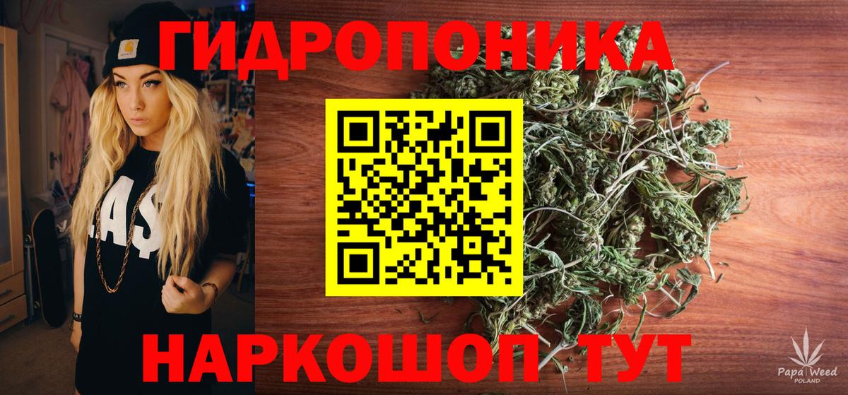 Бошки Шишки VHQ Гагарин